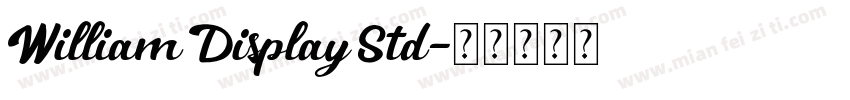 William Display Std字体转换